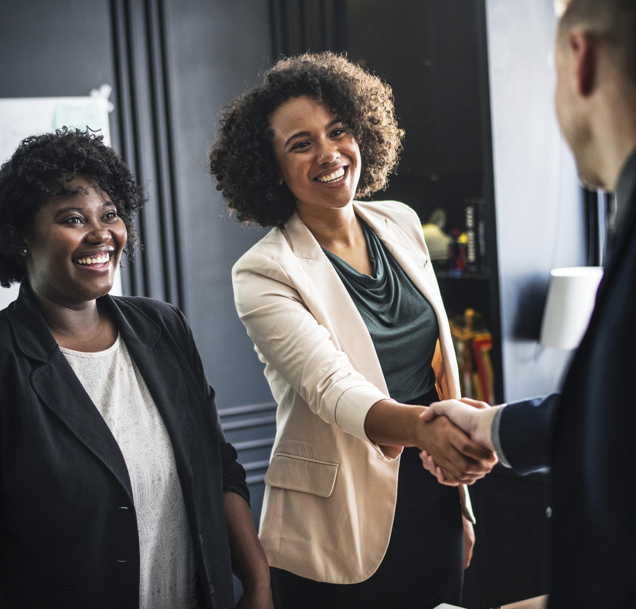 professionals shaking hands