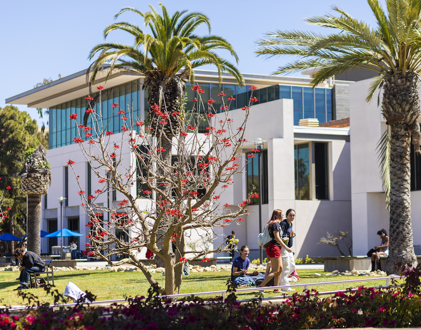 UCSB Campus Life with palm trees and students in front of Library on the grass lawn studying