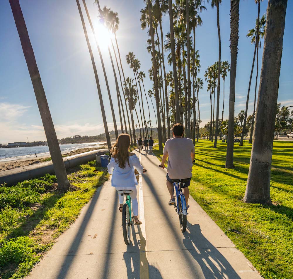 two people riding bicycles on bike path with surrounding palm trees